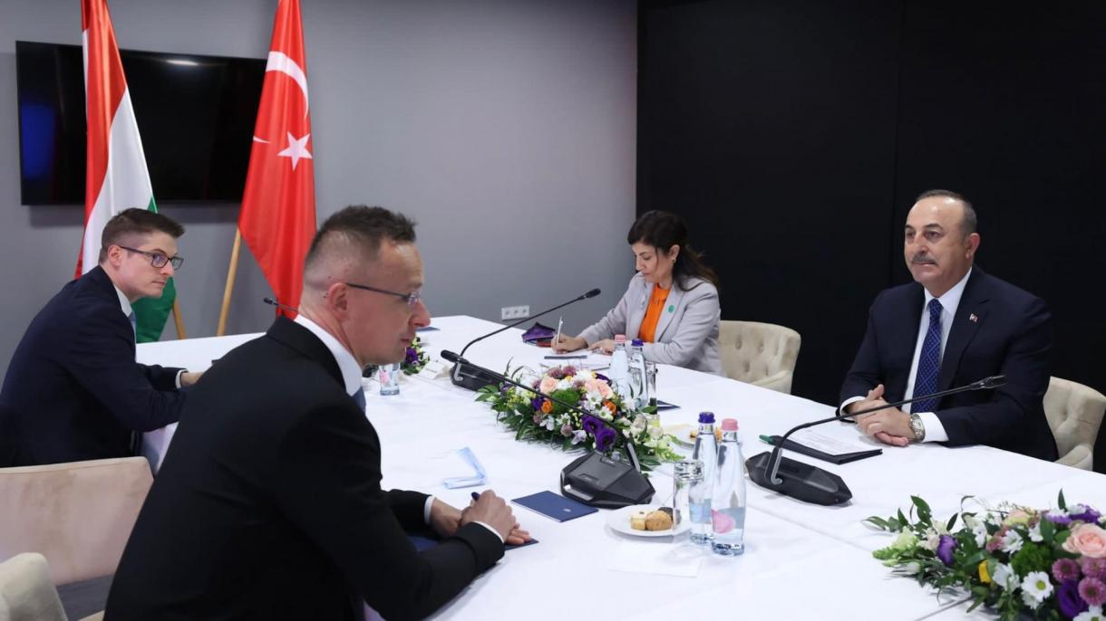 Daşary Işler Ministri Çawuşogly, Wengriýaly Kärdeşi Bilen Duşuşdy