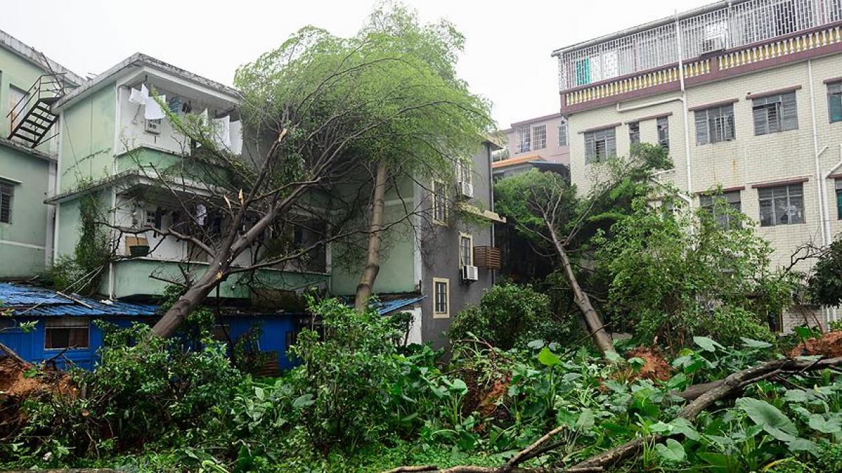 Furtuni tropicale eficiente în coasta de est a Chinei