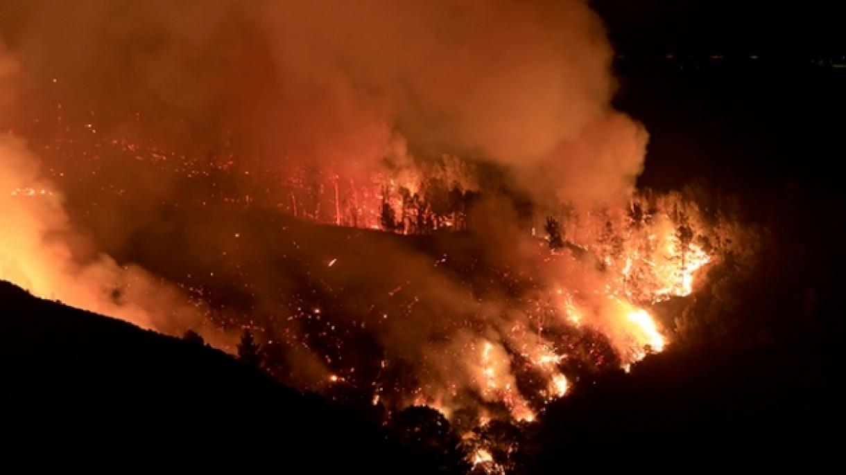 美国科罗拉多州森林大火持续发生 130栋房屋被烧毁