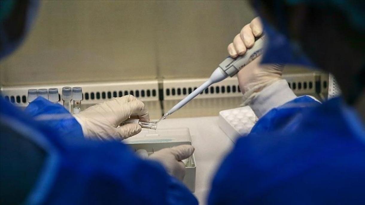 Numărul de cazuri de infecție cu variola maimuței în Belgia crește