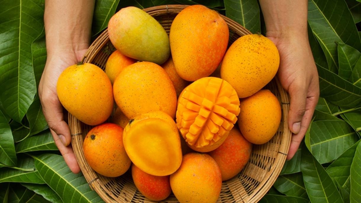 Износът на тропически плодове се увеличи