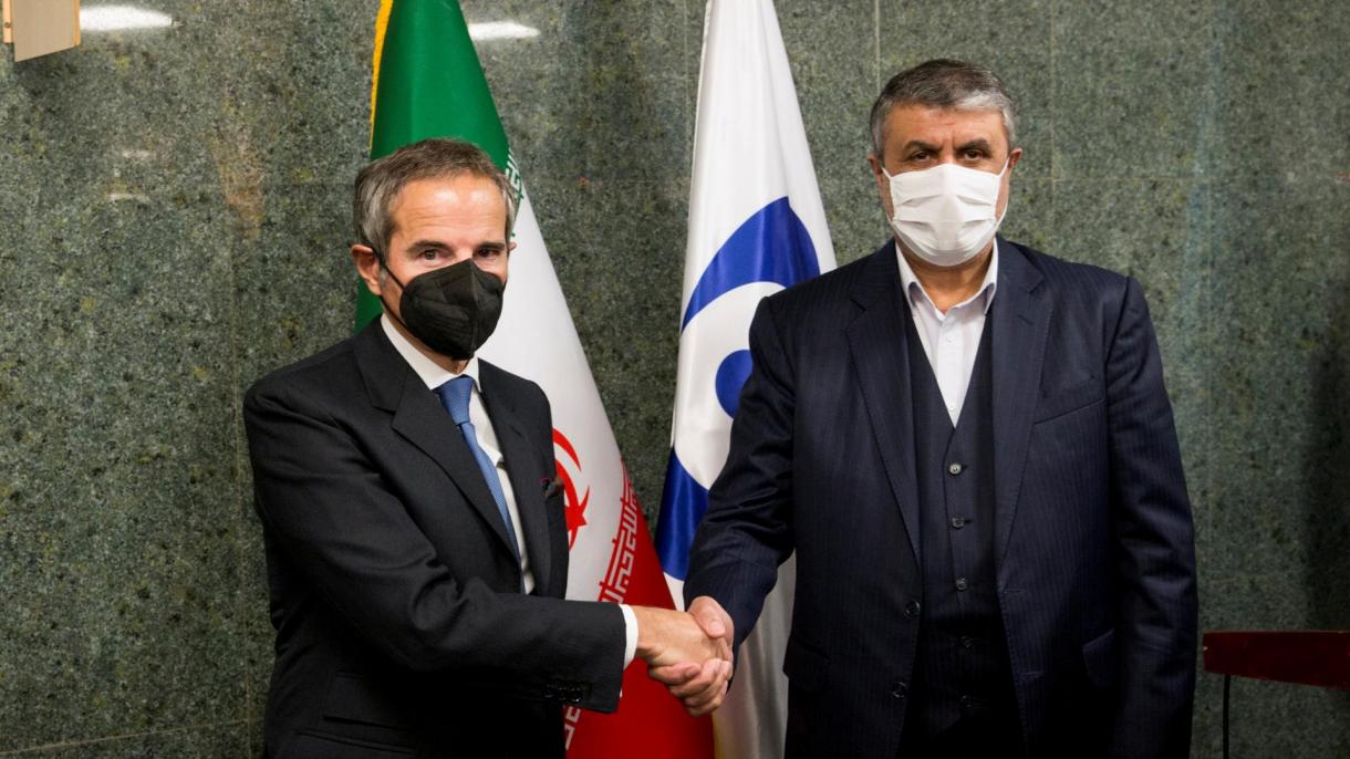 国际原子能机构主席在伊朗展开会晤