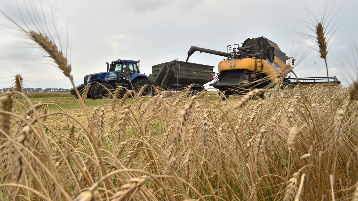 Zelenski: “Entre 22 y 25 millones de toneladas de grano están bloqueadas en los puertos de Odesa"