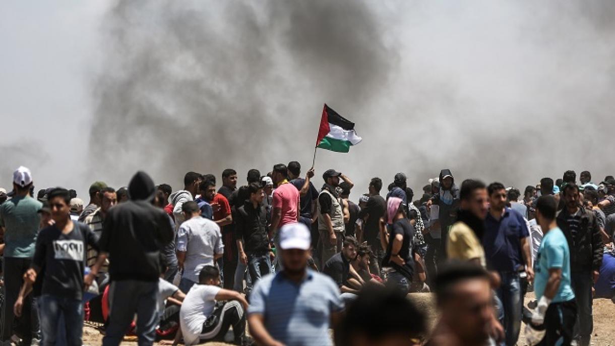 世界穆斯林学者协会谴责以色列对巴勒斯坦人的暴行