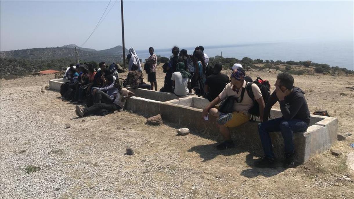 دستگیری 93 مهاجر غیرقانونی در چاناق قلعه ترکیه