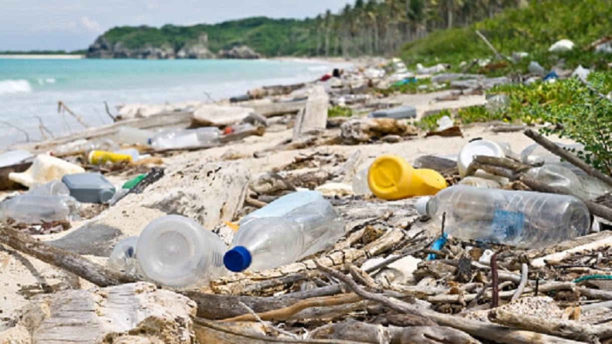 Az elmúlt harminc évben nem nőtt a Balti-tengerben lebegő műanyagrészecskék sűrűsége
