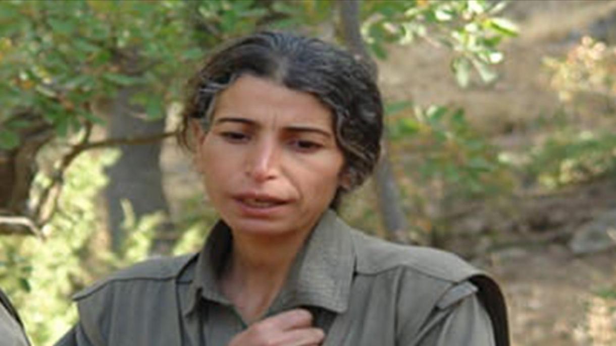 PKK/YPG-нің қаржы қызметкері залалсыздандырылды