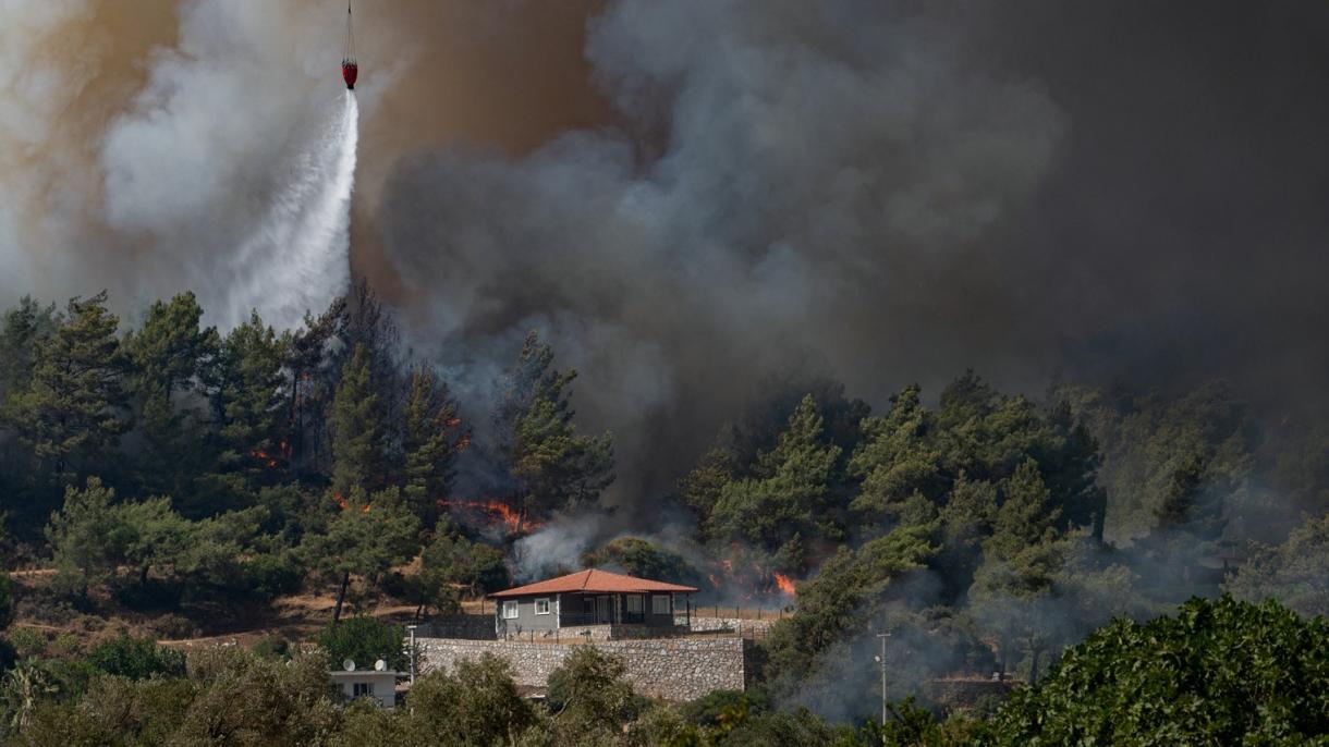 Erdogan: "196 de 208 incêndios florestais em 44 províncias estão sob controle"