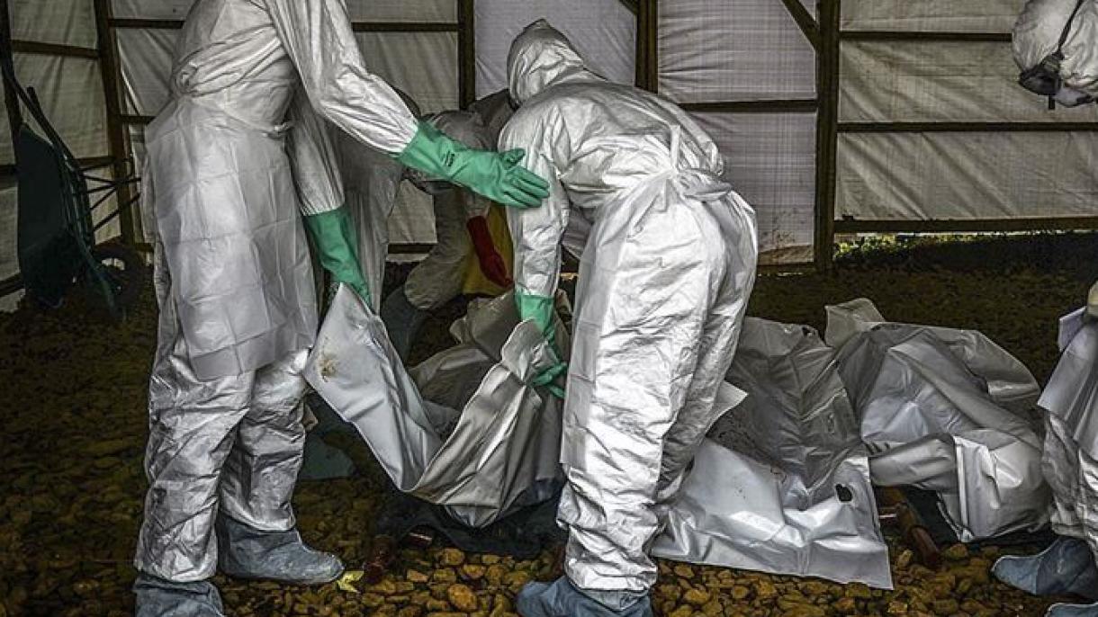 刚果埃博拉疫情死亡人数升至1416人