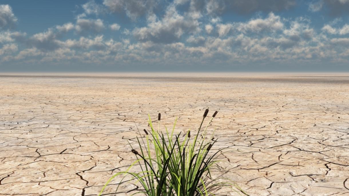 Bolivia busca 250 millones de dólares de Fondo Climático para combatir sequía