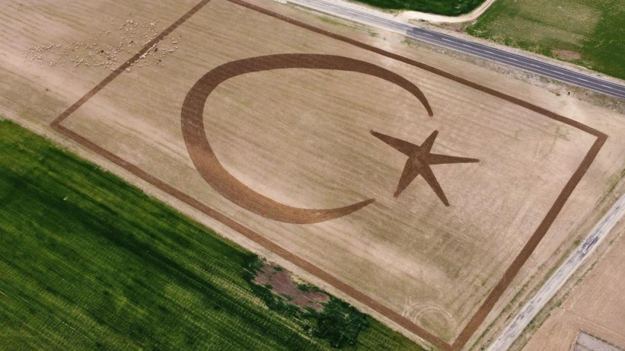 ترک کسان نے کھیت میں ترک پرچم تراش دیا