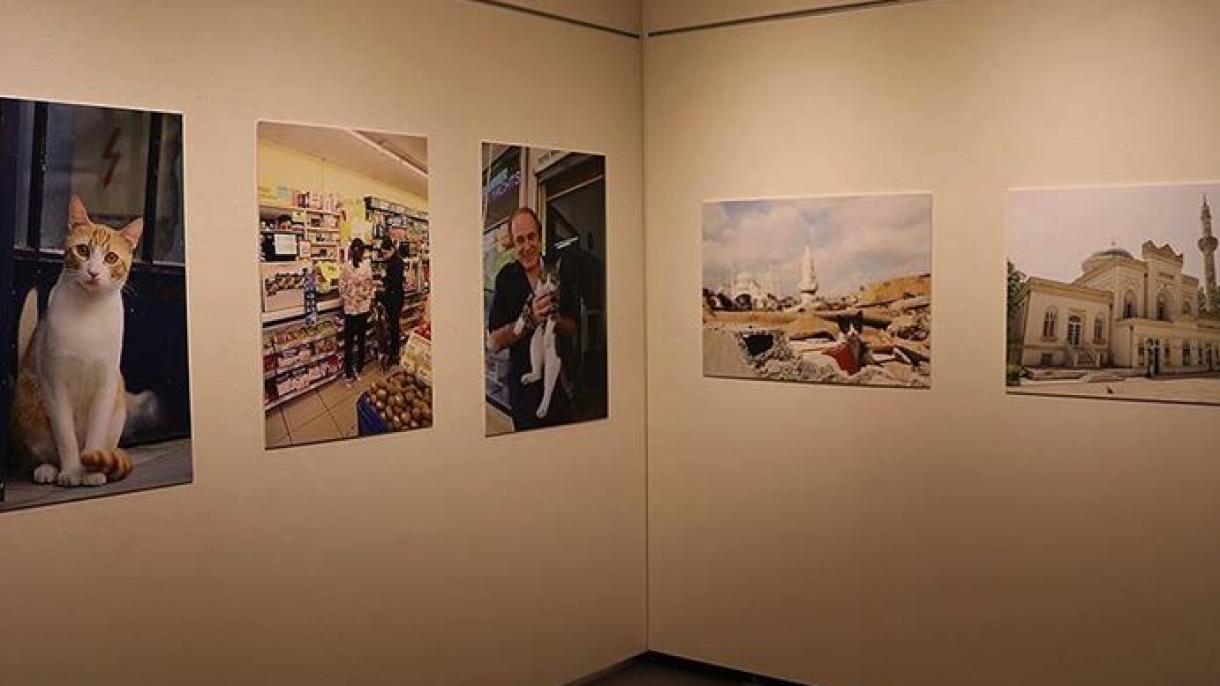 Inaugurada la exposición fotográfica “Gato Turco” en Tokio