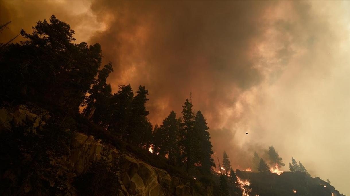 Los incendios liberaron 2.700 millones de metros cúbicos de dióxido de carbono a la atmósfera