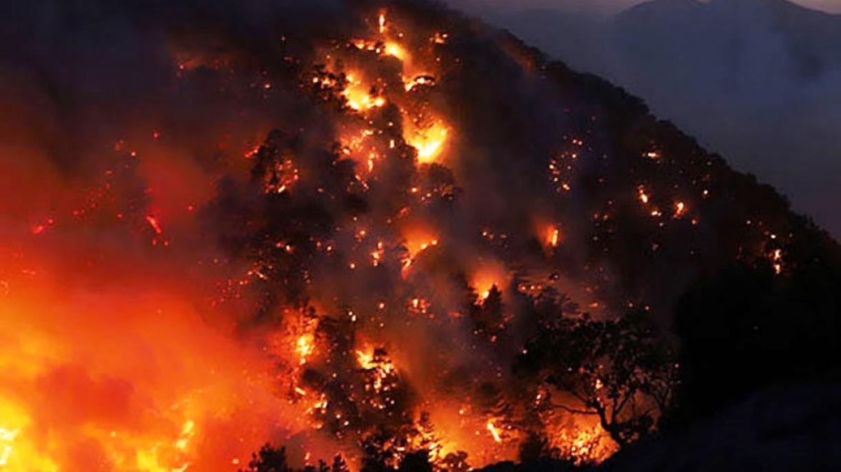 آتش در جنگل‌های ارسباران بار دیگر شعله ور شد
