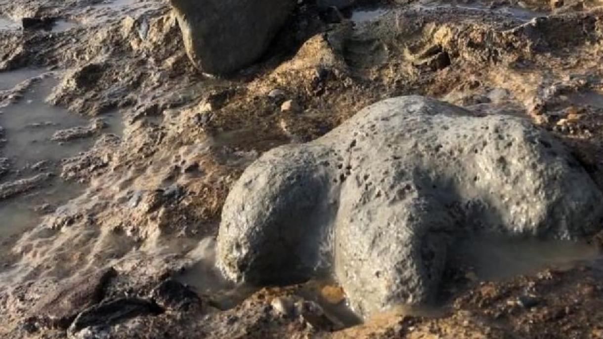 İñ zur dinozavr qaldıqları tabıldı