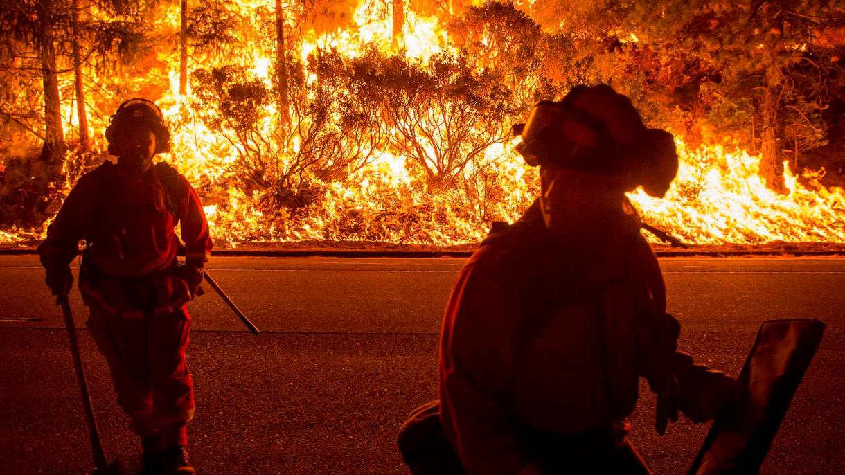 美国加利福尼亚州遭遇森林大火
