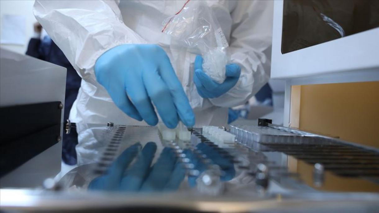Yerli sürətli test dəsti yeni növ koronavirusu 15 dəqiqədə aşkar edəcək