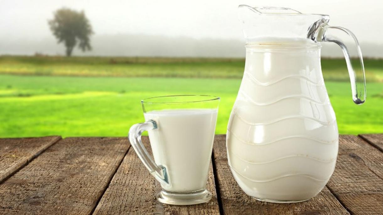 صحت مند زندگی  کا راز خالص دودھ میں پوشیدہ
