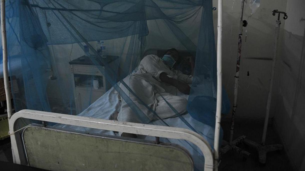 شش نفر در اثر ابتلا به بیماری تب دانگ در ویتنام جان باختند