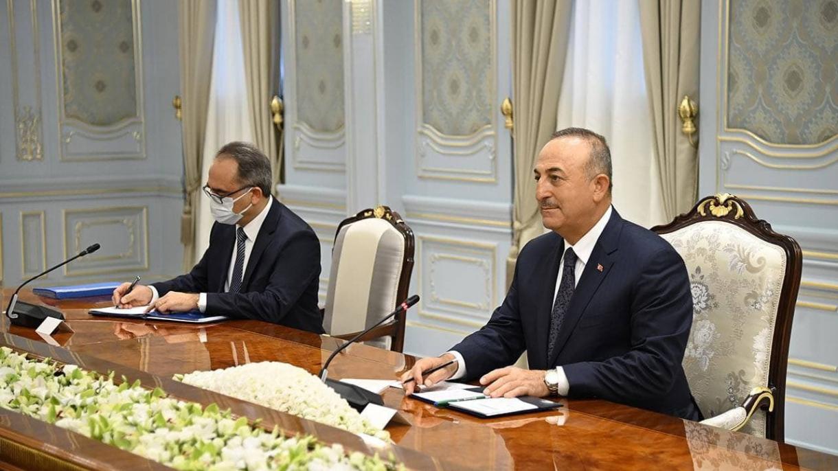 Mirziyoyev-Çavuşoğlu-1.jpg