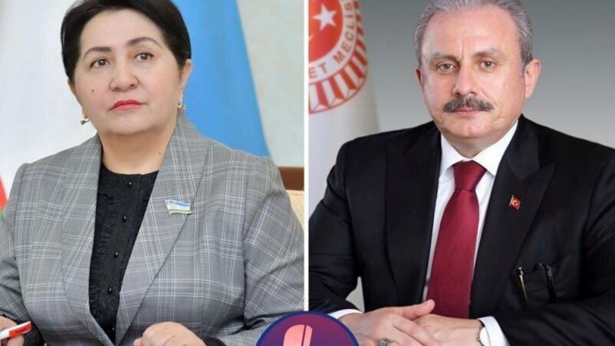 Turkiya va O'zbekiston parlamentlari hamkorligini rivojlantirish istiqbollari muhokama qilindi