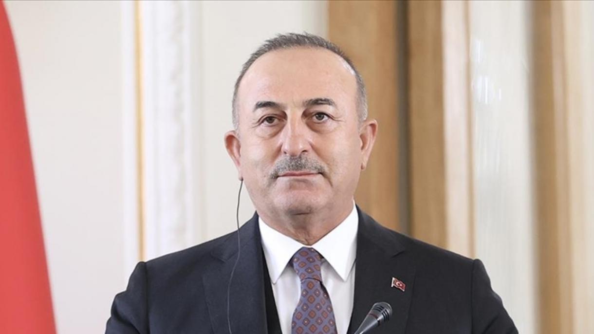 Çavuşoğlu - Al Sani söyläşüe