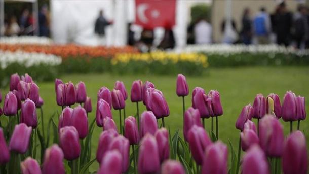 Tulipani turchi ornano il Festival a Morges, in Svizzera