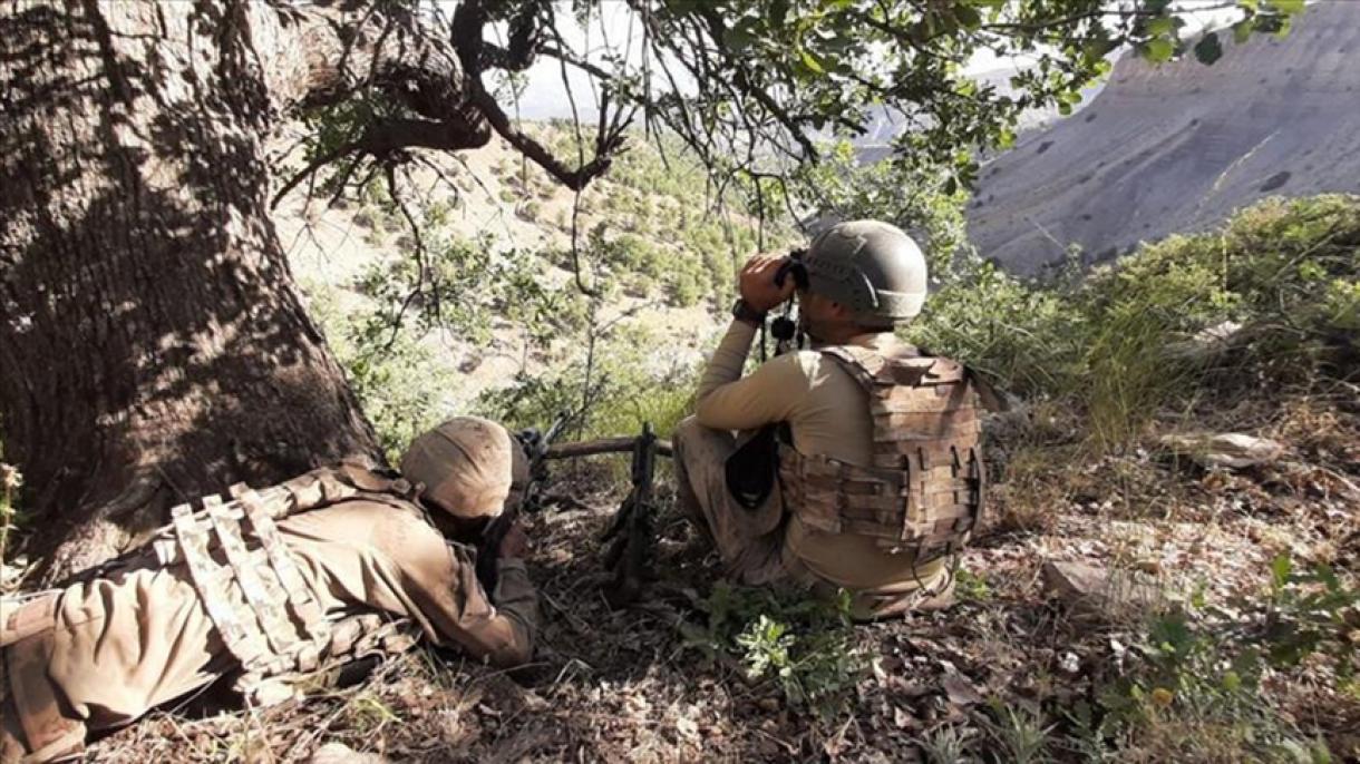 Сииртте PKK-лық 2 террорист залалсыздандырылды