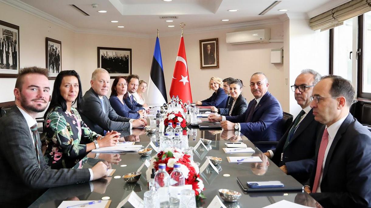 Daşary Işler Ministri Çawuşogly Estoniýanyň Wekiliýeti Kabul Etdi