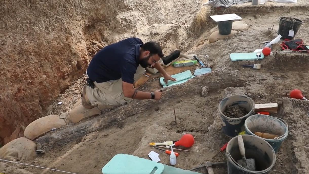 Descubren un colmillo de marfil de 500.000 años de antigüedad en Israel