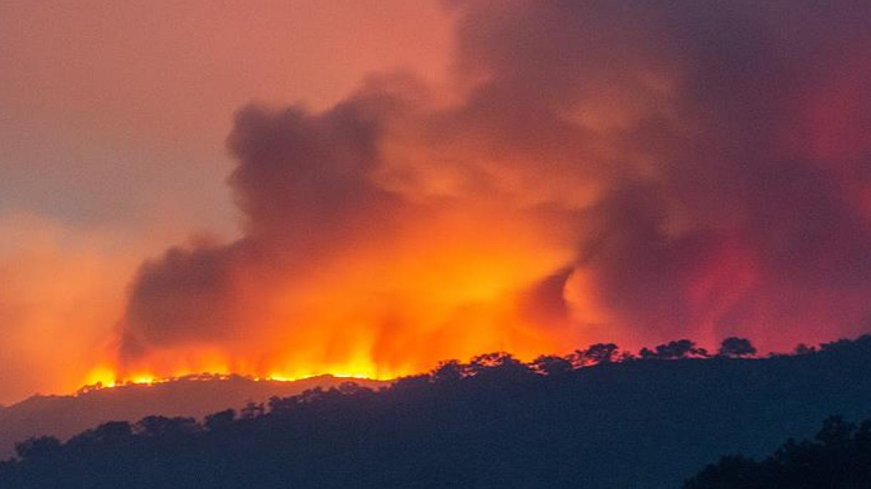Estado de emergencia en el incendio forestal que arrasa en la Isla del Sur de Nueva Zelandia