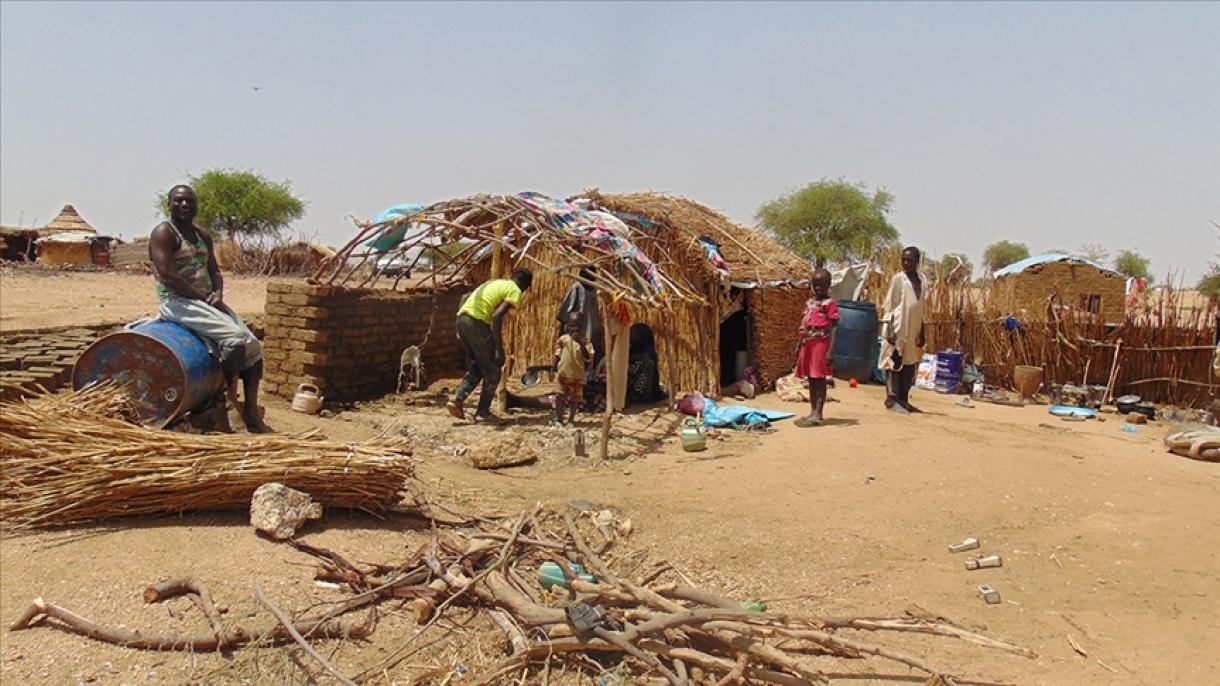 Sudanezii mănâncă lăcuste pentru a supraviețui