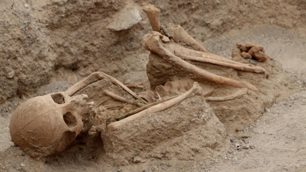 Nenhum dente cariado foi encontrado nos esqueletos de 2.750 anos
