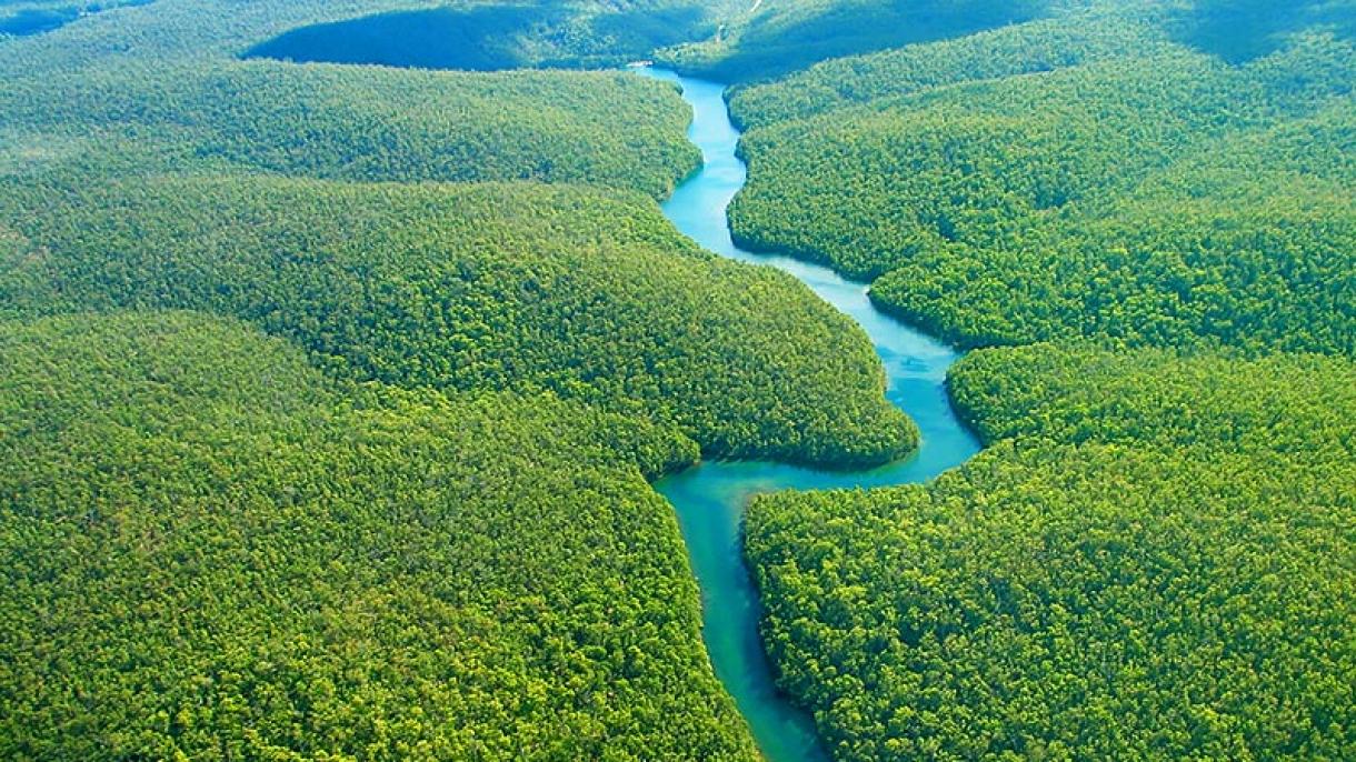 Tres países desarrollan un proyecto para proteger el Amazonas
