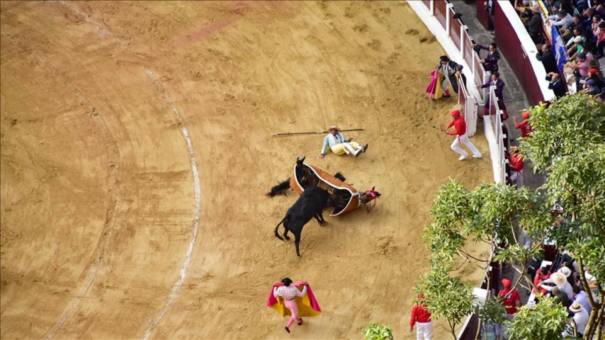 Se desploma una gradería en una plaza de toros en medio de una corrida en El