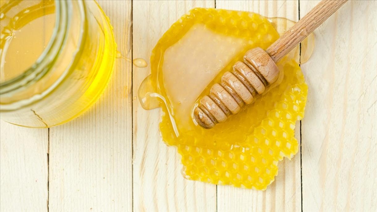 در طول سال جاری 110 هزار تن عسل در ترکیه تولید شد