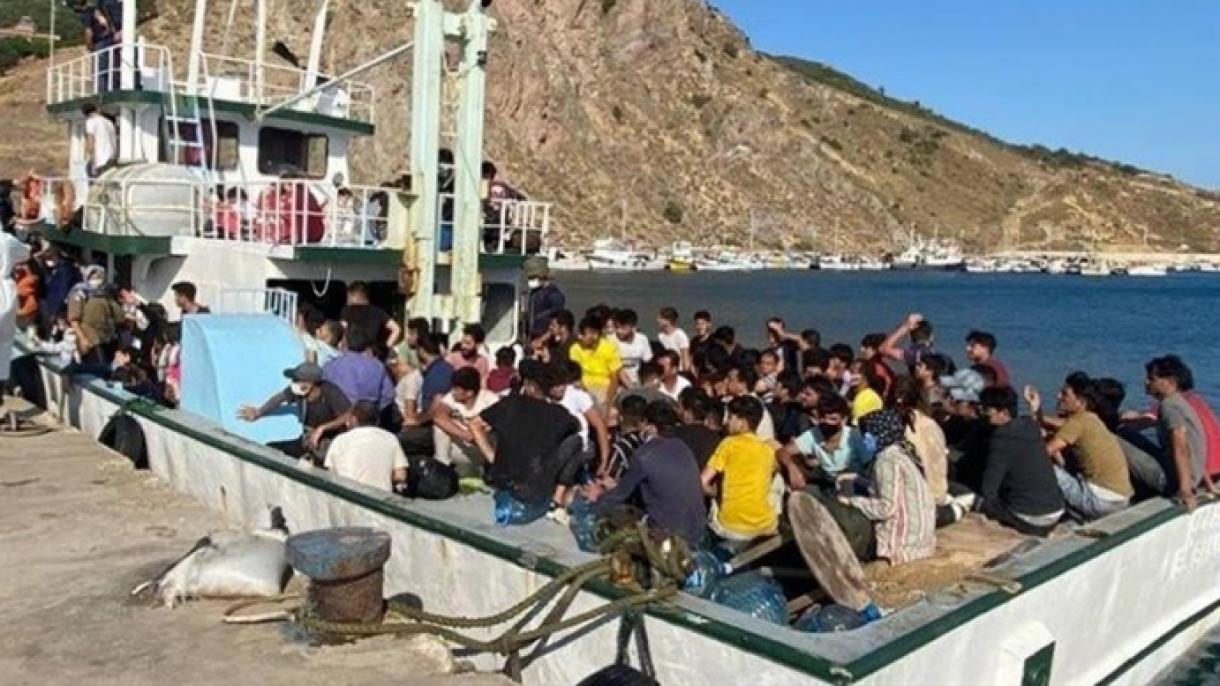土耳其在恰纳卡莱抓获231名非正规移民