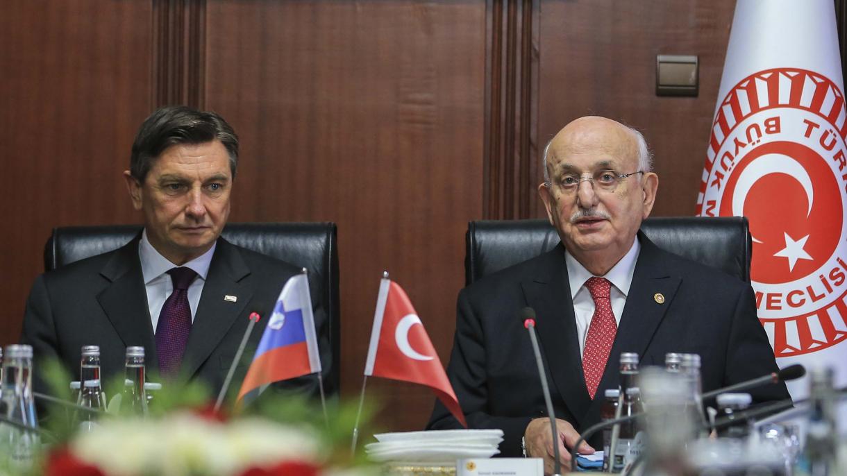 دیدار رئیس جمهوری اسلوونی با رئیس مجلس ملی کبیر ترکیه