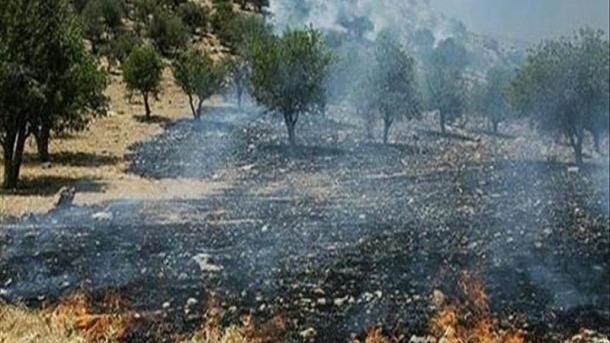 آتش سوزی در جنگل های منطقه پاسارگارد استان فارس ایران