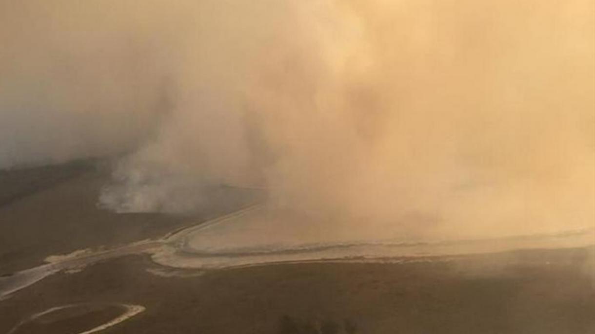 哈萨克斯坦科斯塔奈州发生森林大火