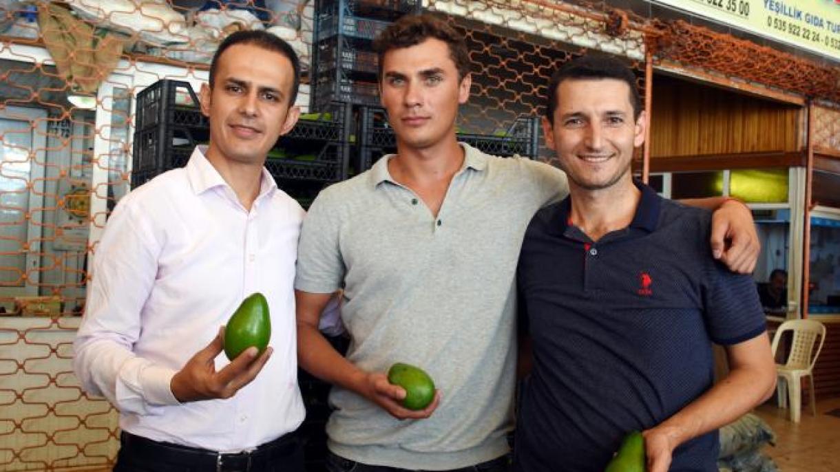 Avocado din Alanya este acum exportat în Polonia