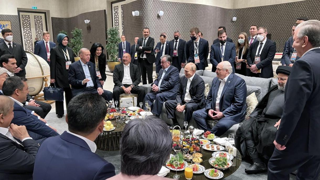 Өзбекстанга барган Президент Эрдоган көчөт отургузду