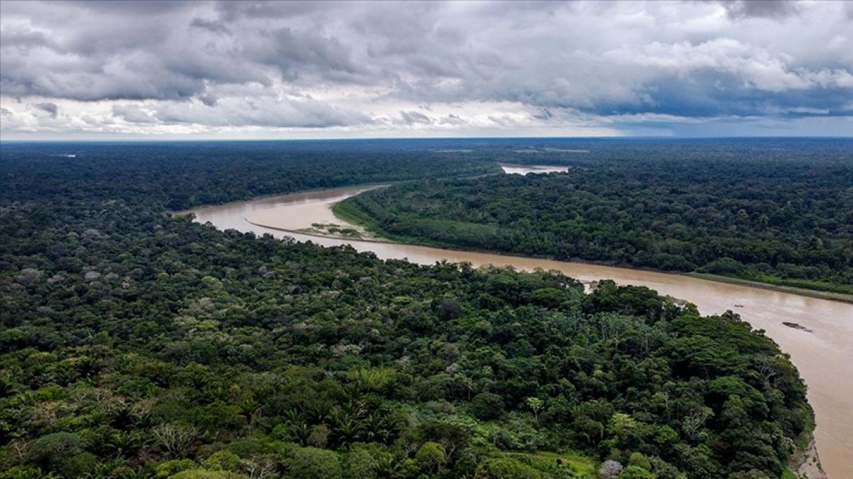 No Brasil a desflorestação da Amazónia agravou-se em 2022