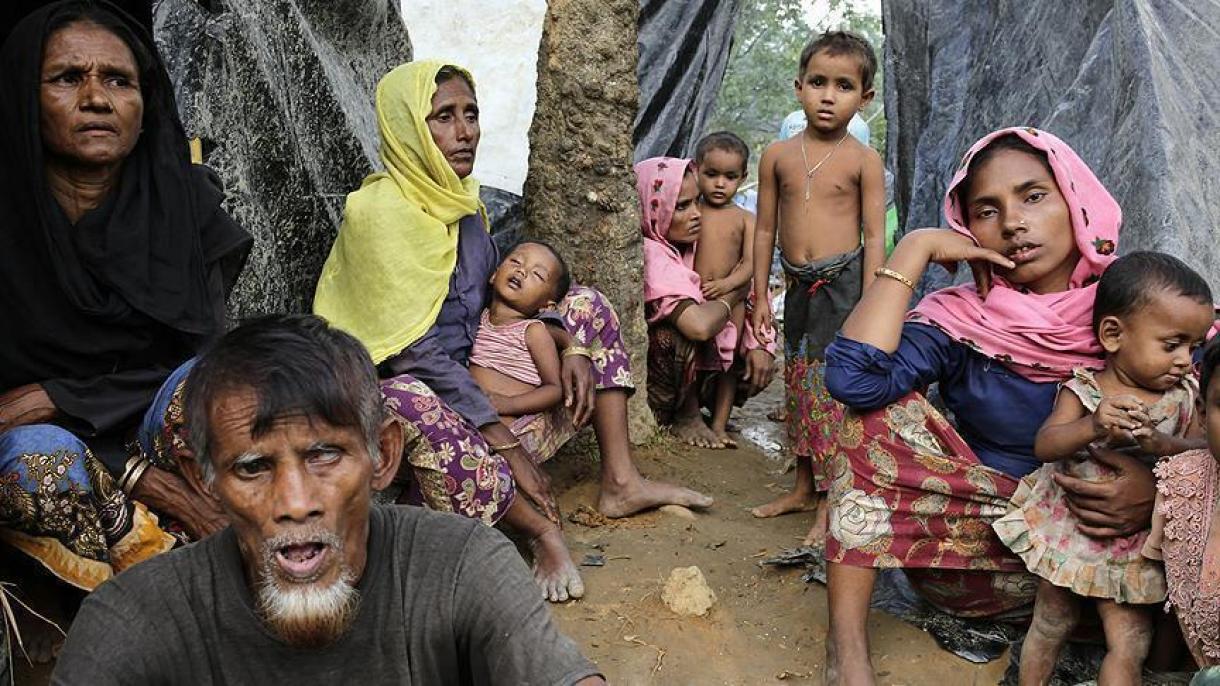 ادامه روند فرار مسلمانان آراکانی به بنگلادش