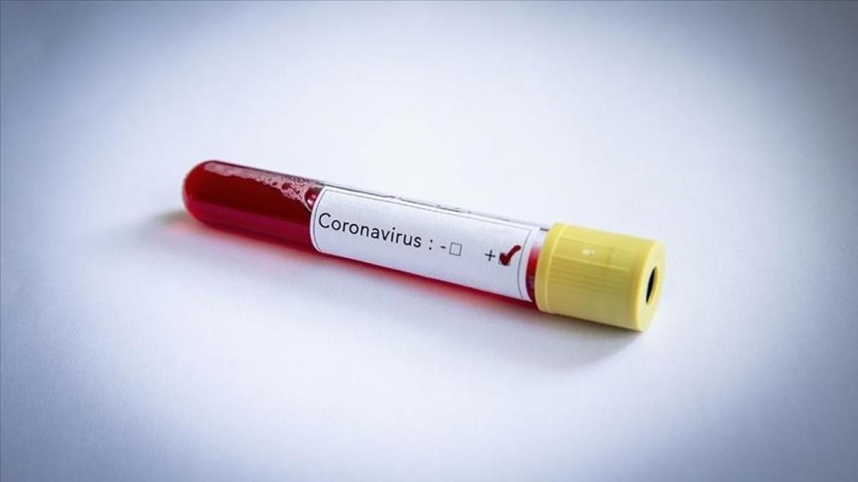 Az új típusú koronavírus terjedése egyre aggasztóbb méretet ölt Észak-Koreában