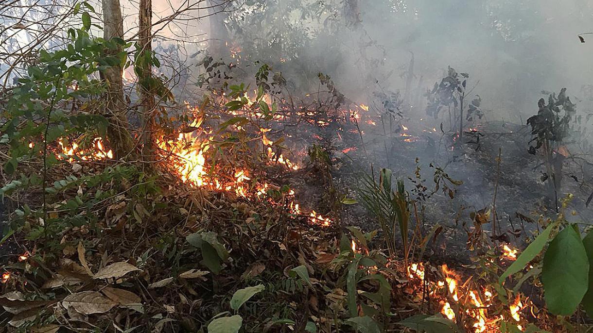 بیرونی ممالک ایمیزون کی آگ بجھانے سے دور رہیں : برازیل
