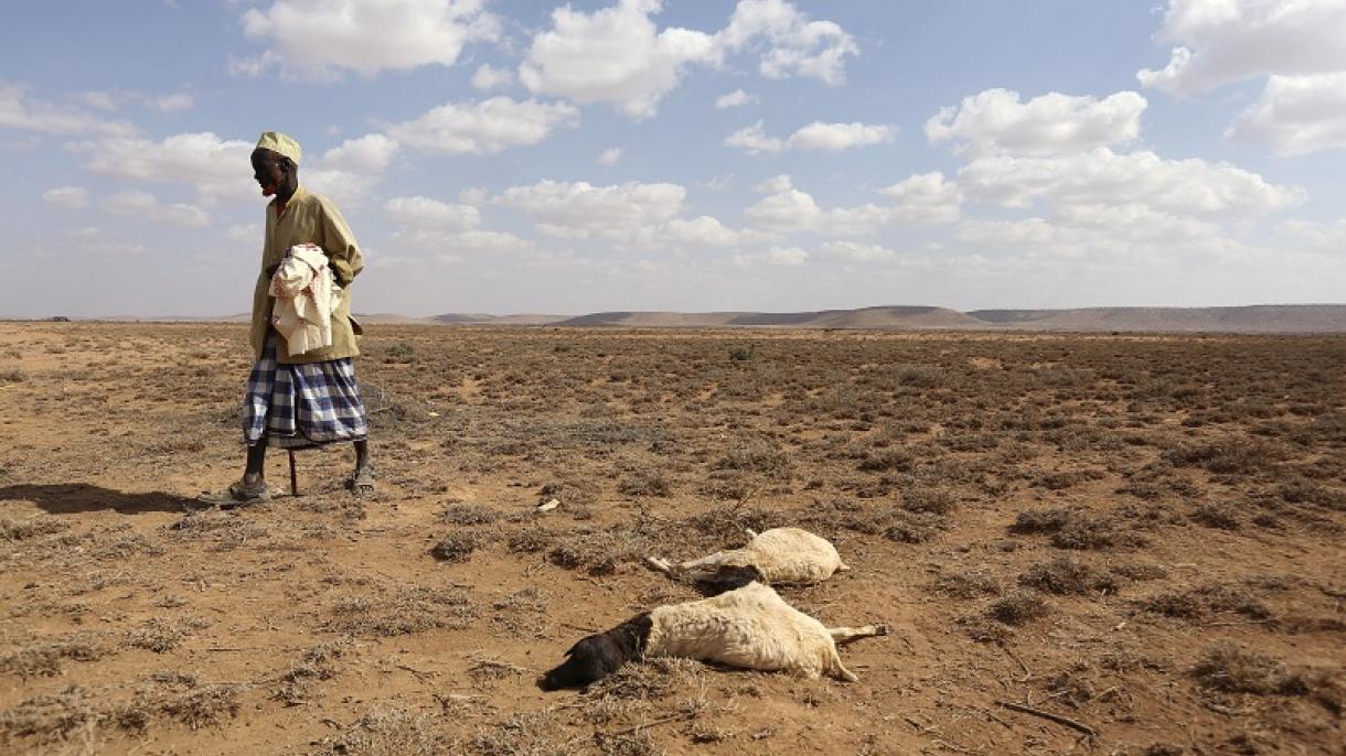 Miles de personas afrontan escasez de agua y alimento en Somalia