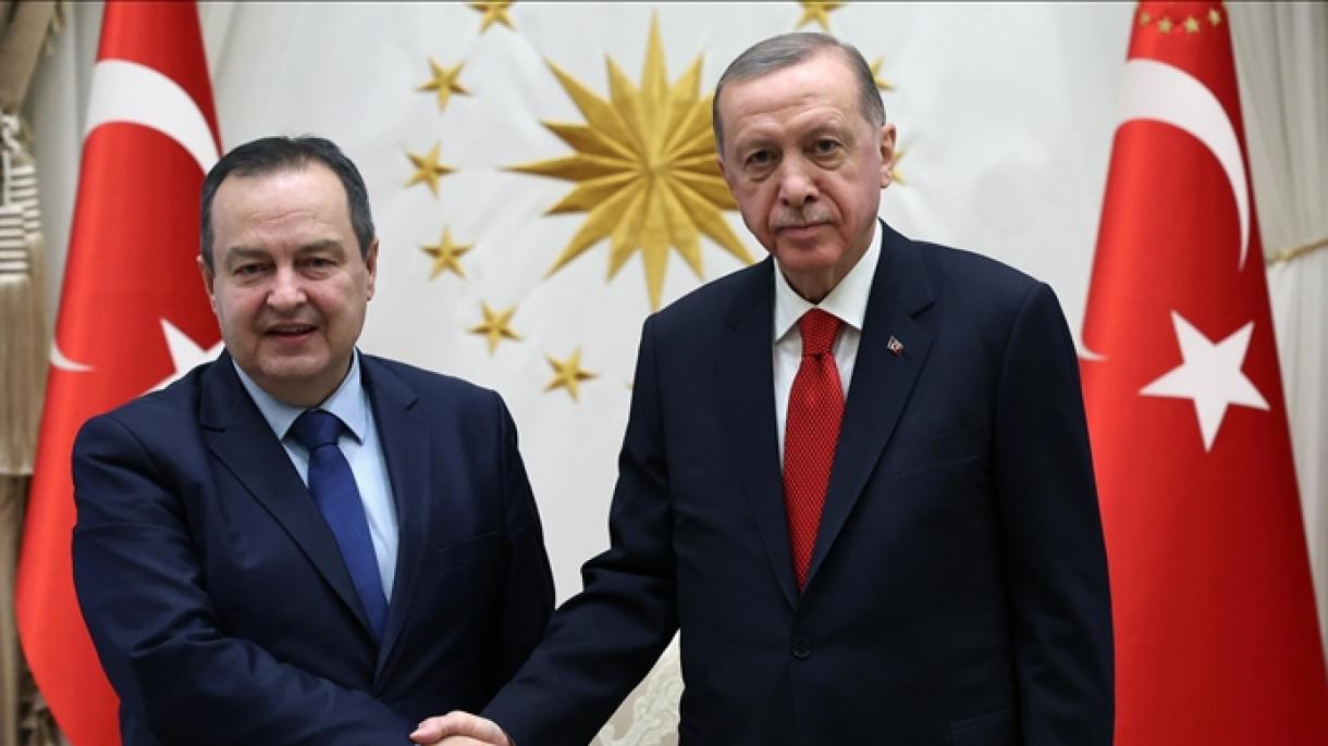埃尔多安总统接见塞尔维亚第一副总理兼外长