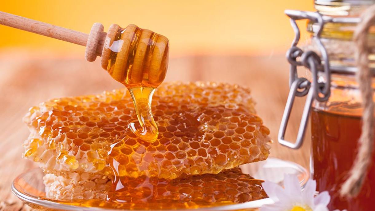 Jó bevételt hoz a török méz