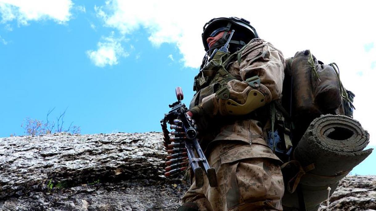 土耳其部队在迪亚巴克尔清剿恐怖分子